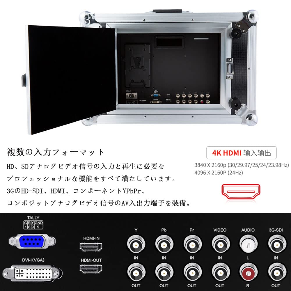 SEETEC P173-9HSD 17.3インチ Amazon.com: SEETEC P173-9HSD-CO 17.3 Inch Carry on Broadcast